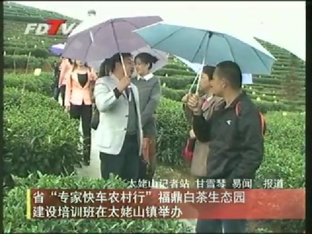 省“專家快車農(nóng)村行”福鼎白茶生態(tài)園建設培訓班在太姥山鎮(zhèn)舉辦