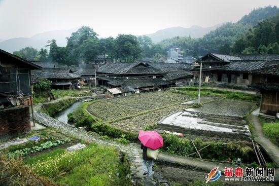 中國(guó)傳統(tǒng)村落、省級(jí)歷史文化名村仙蒲村 吳維泉攝.JPG