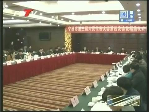 福鼎代表團(tuán)認(rèn)真審議《寧德市政府工作報告》