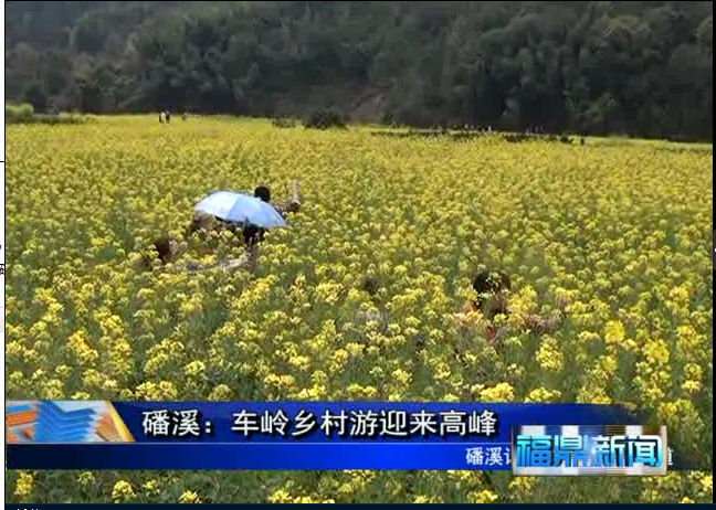 磻溪：車嶺鄉(xiāng)村游迎來高峰