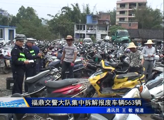 福鼎交警大隊(duì)集中拆解報(bào)廢車(chē)輛563輛