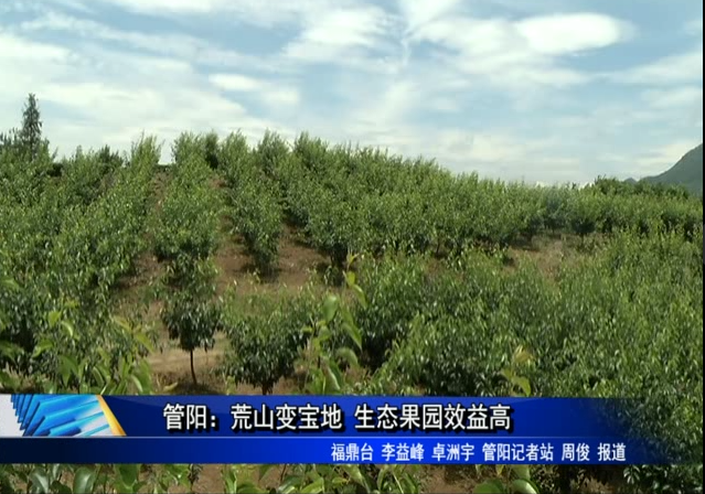 管陽(yáng)：荒山變寶地 生態(tài)果園效益高