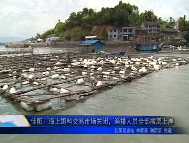 佳陽：海上餌料交易市場關(guān)閉，漁排人員全部撤離上岸