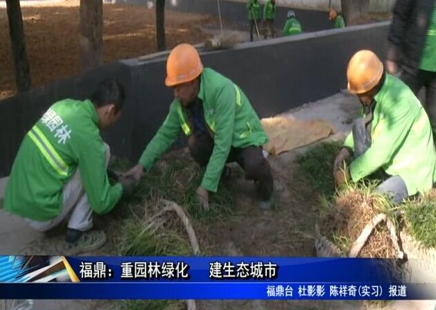 福鼎：重園林綠化 建生態(tài)城市