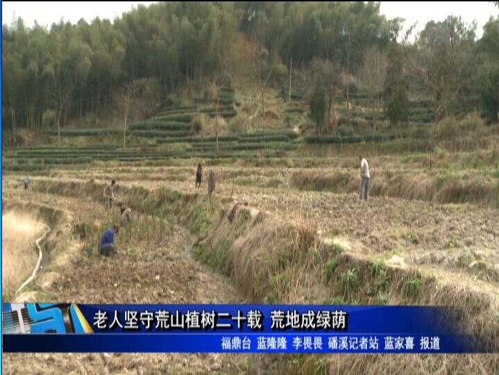 老人堅(jiān)守荒山植樹(shù)二十載 荒地成綠蔭