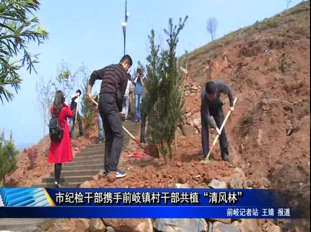 市紀(jì)檢干部攜手前岐鎮(zhèn)村干部共植“清風(fēng)林”