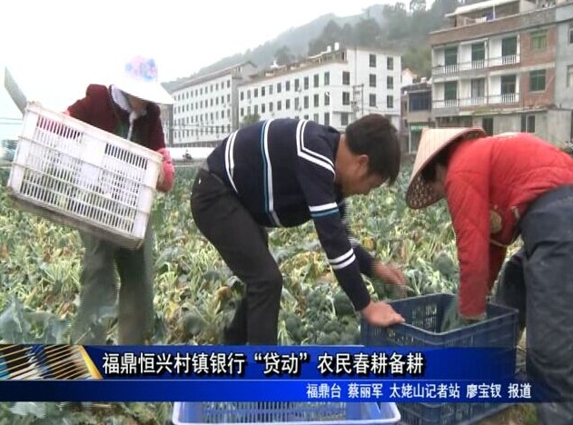 福鼎恒興村鎮(zhèn)銀行“貸動(dòng)”農(nóng)民春耕備耕