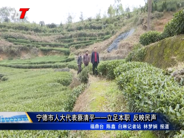 寧德人大代表蔡清平——立足本職 反映民聲