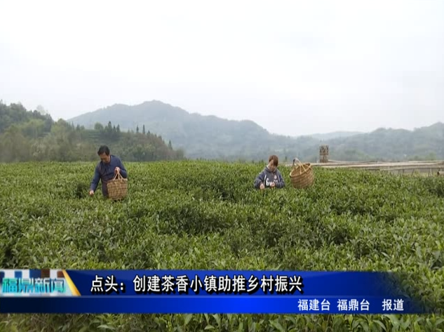 點頭：創(chuàng)建茶香小鎮(zhèn)助推鄉(xiāng)村振興