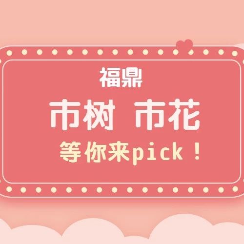 福鼎“市樹、市花”投票開始啦！快來pick你心中的NO.1吧！