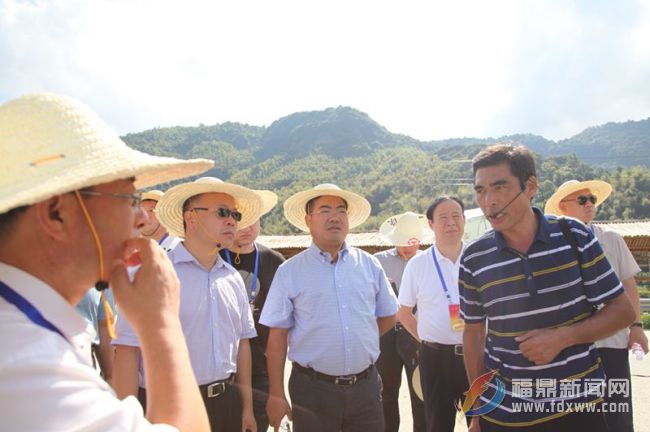 全國(guó)人大代表蒞鼎視察檢察機(jī)關(guān)工作情況