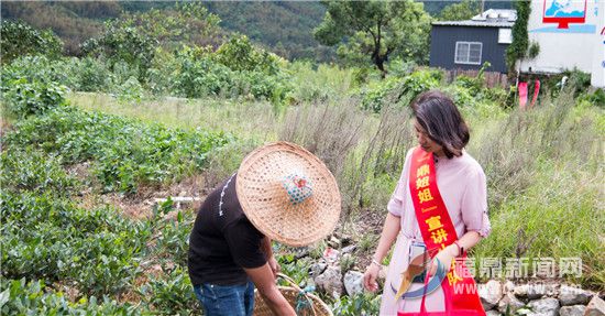 送法下鄉(xiāng) 惠及群眾 “鼎姐姐”理論宣講小分隊走進赤溪側記