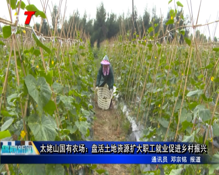 太姥山國有農場：盤活土地資源擴大職工就業(yè)促進鄉(xiāng)村振興