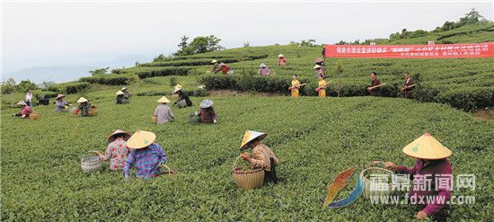 讓文明新風(fēng)吹進(jìn)心田里 我市大力推進(jìn)移風(fēng)易俗工作之二