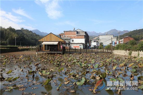 點頭柏柳村美麗鄉(xiāng)村建設(shè) 初顯成效