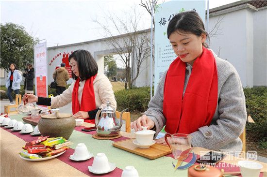 點(diǎn)頭鎮(zhèn)2019“白茶小鎮(zhèn)、魅力點(diǎn)頭” 攝影大賽啟動