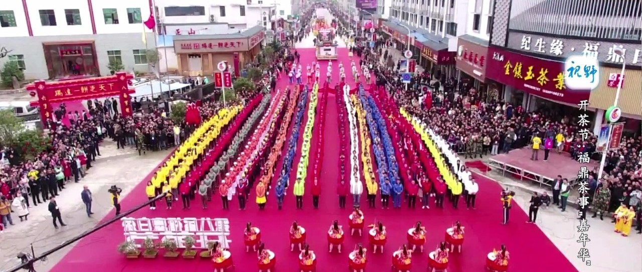 【視野】這些年我們一起經(jīng)歷的開(kāi)茶節(jié)：福鼎白茶的助推器