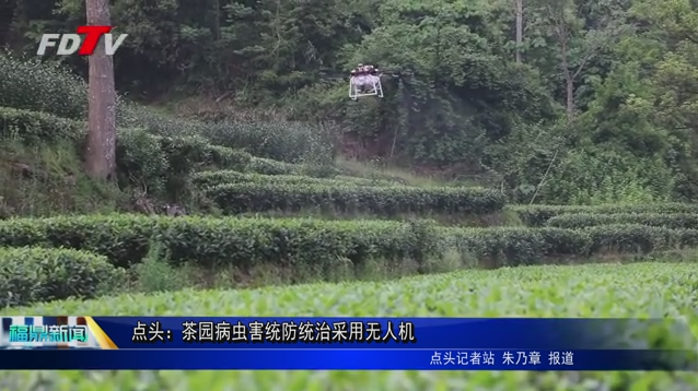 點頭：茶園病蟲害統(tǒng)防統(tǒng)治采用無人機