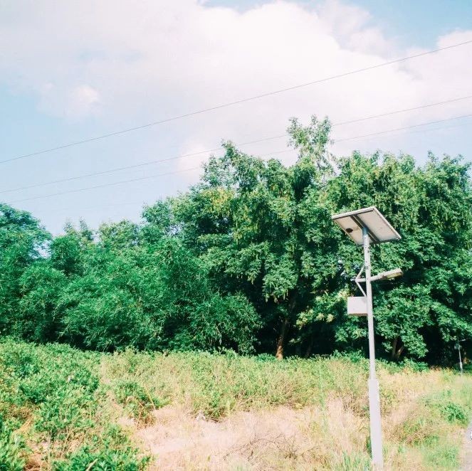 坪上之園，在水之北，推薦你一處離城不遠(yuǎn)的小清新風(fēng)景