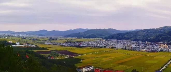 福鼎田園牧歌風景正好