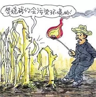 自行焚燒垃圾、秸稈危害這么多……