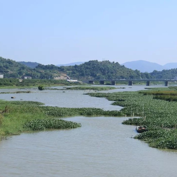 雙岳溪防洪堤預(yù)計(jì)年底竣工，它可以……