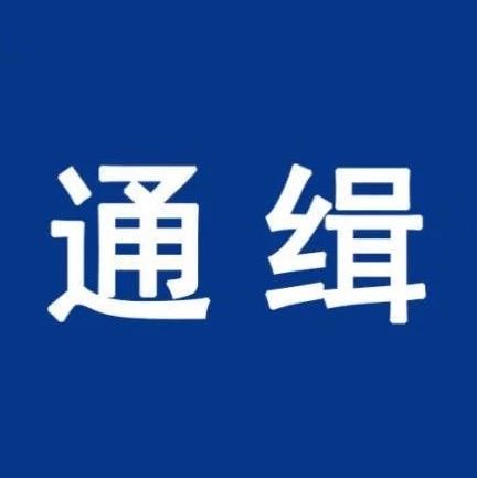 注意！公安部發(fā)布A級(jí)通緝令，每人懸賞10萬(wàn)元！