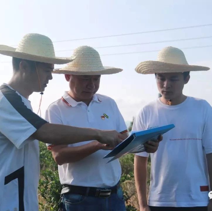 硤門：保持高壓態(tài)勢，建立長效機制，保護青山綠水