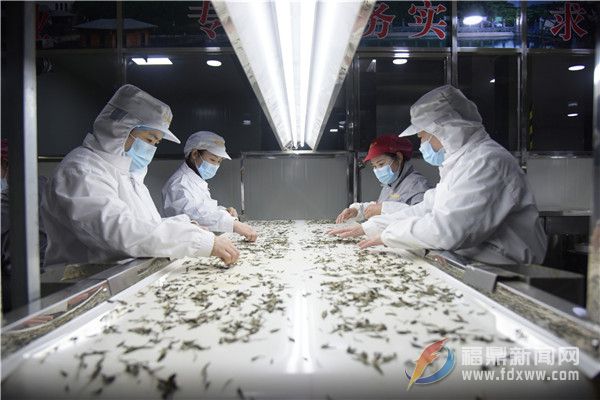 我市掀起復工熱潮