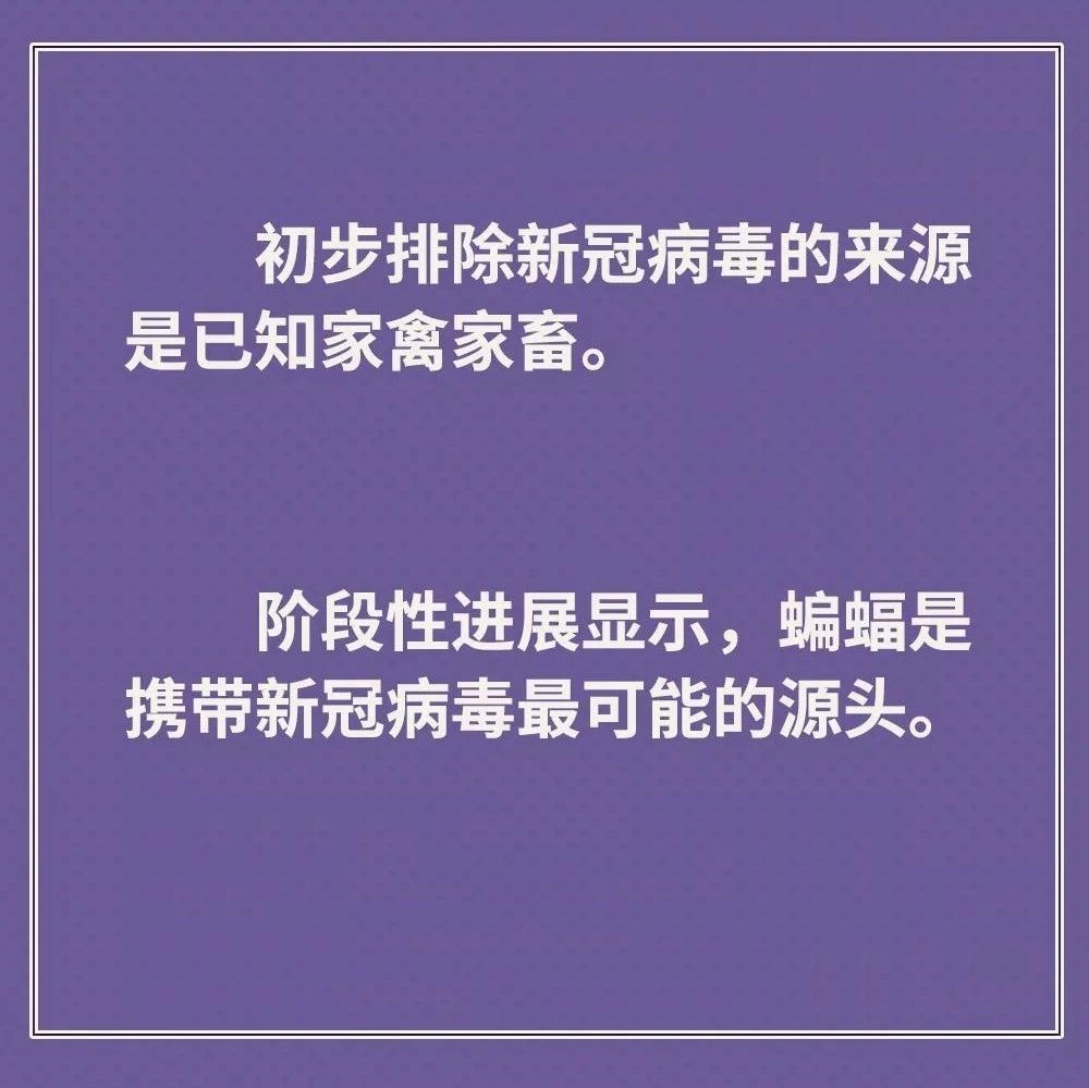 雞鴨會傳播病毒？疫苗研究得怎樣？抗疫最新信息，你要知道