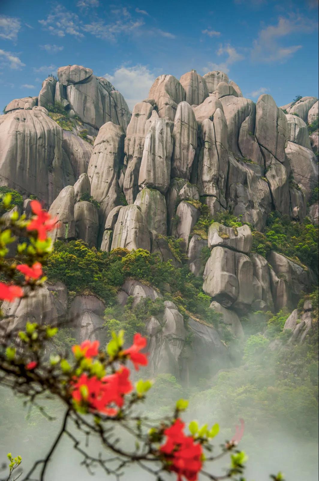 太姥山、崳山、赤溪景區(qū)3月21日起恢復(fù)開(kāi)園，全國(guó)游客享受門(mén)票半價(jià)！