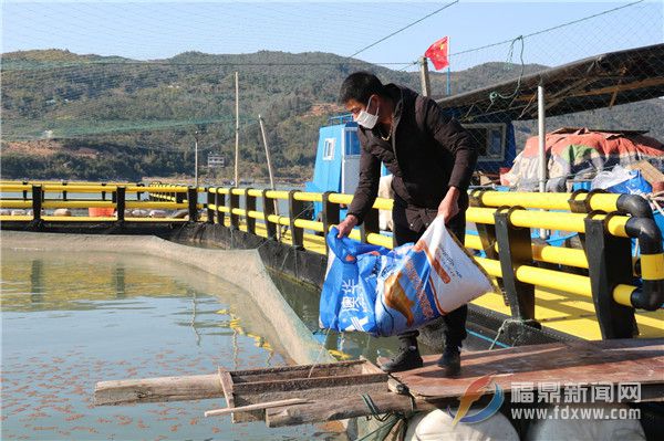 養(yǎng)殖戶喂魚忙