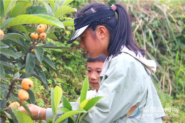 特色農莊成市民游玩好去處