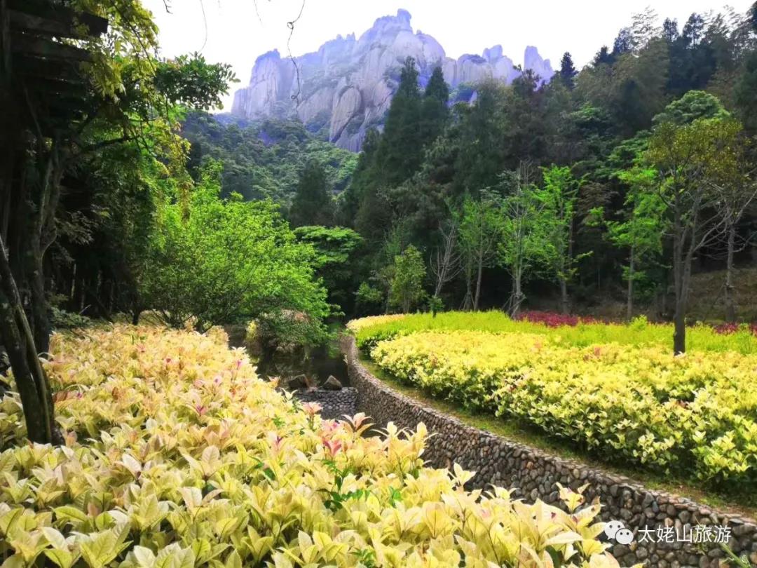 追逐畫中生靈，觀太姥山之美