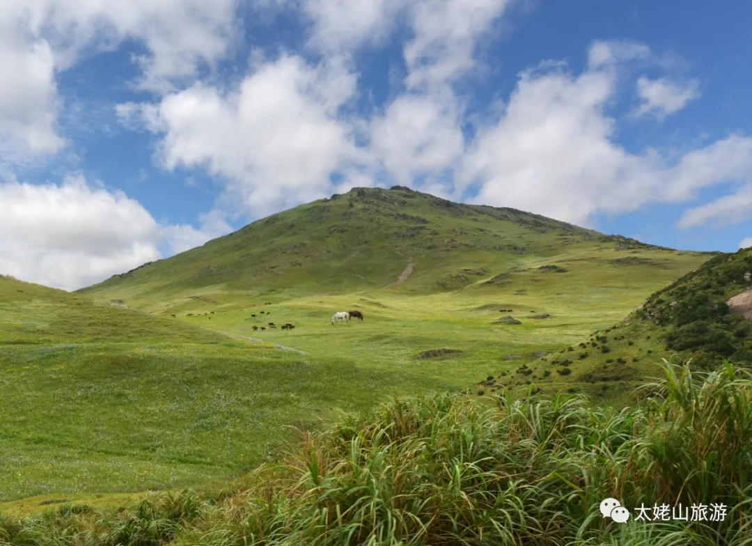 夏天來(lái)啦，我想和你一起去崳山島吹吹風(fēng)