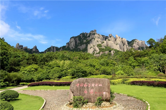 太姥山?白茶山 | 唐頤：福鼎白茶與抗疫故事