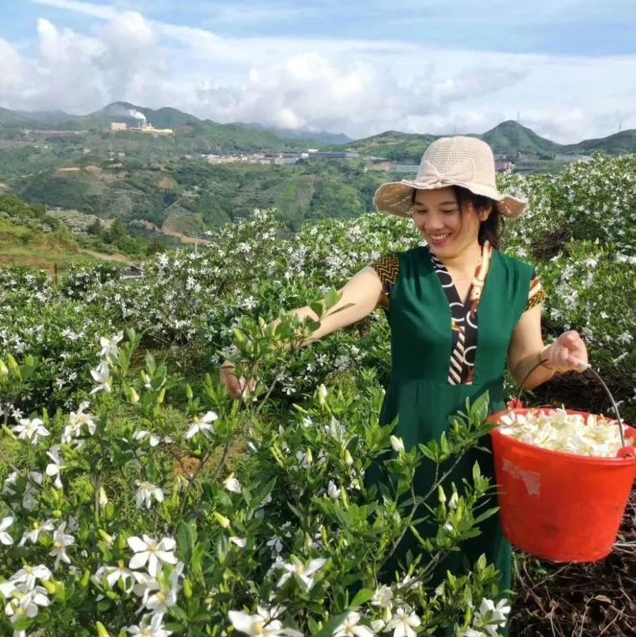 “閩浙邊紅色先鋒貸”助力鄉(xiāng)村產(chǎn)業(yè)振興