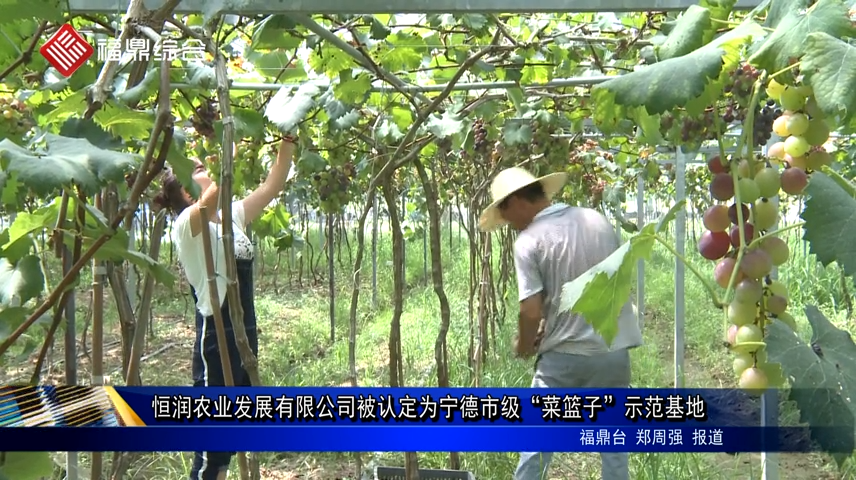 恒潤農(nóng)業(yè)發(fā)展有限公司被認定為寧德市級“菜籃子”示范基地