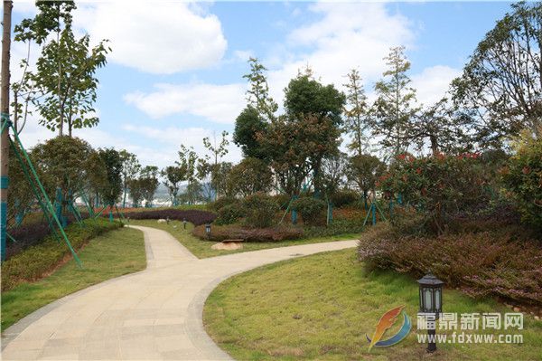 加快公園綠地建設 城市生態(tài)魅力從“美麗一隅”到“星羅棋布”