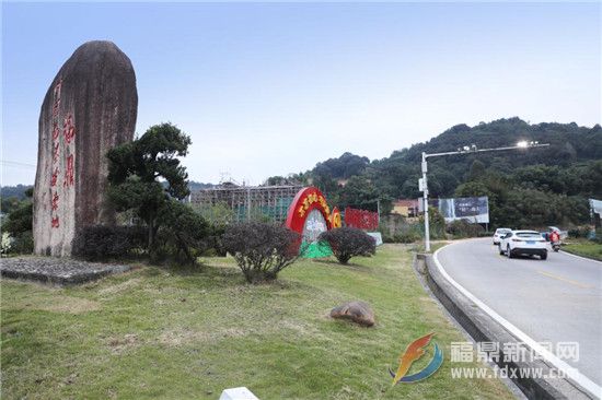 點頭鎮(zhèn)著力推進美麗公路美化亮化工程建設