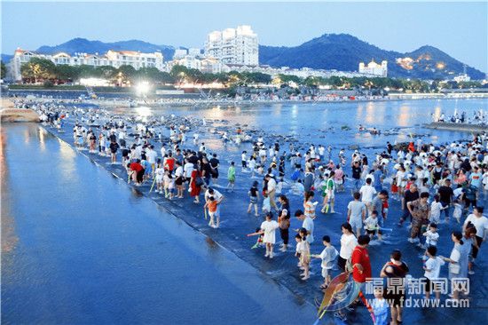 白天親書(shū)夜間親水 福鼎市民納涼消暑有“正解”