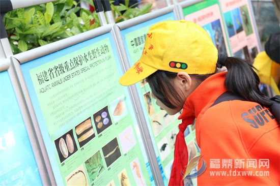 福鼎：水生野生動物保護科普宣傳進校園