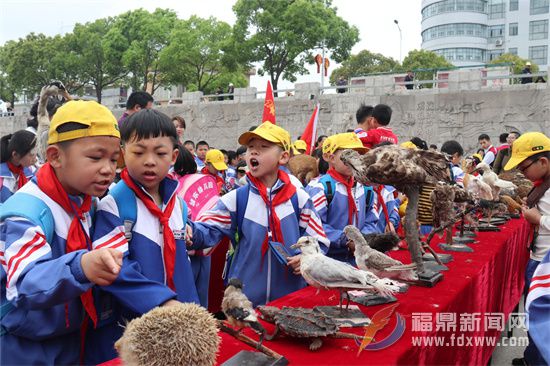 福鼎兩項志愿服務(wù)項目榮獲省級獎項