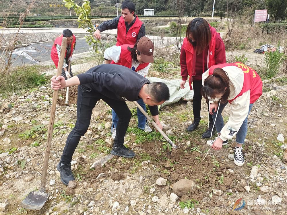 植樹節(jié)：點(diǎn)頭志愿者開展植樹護(hù)綠活動(dòng)