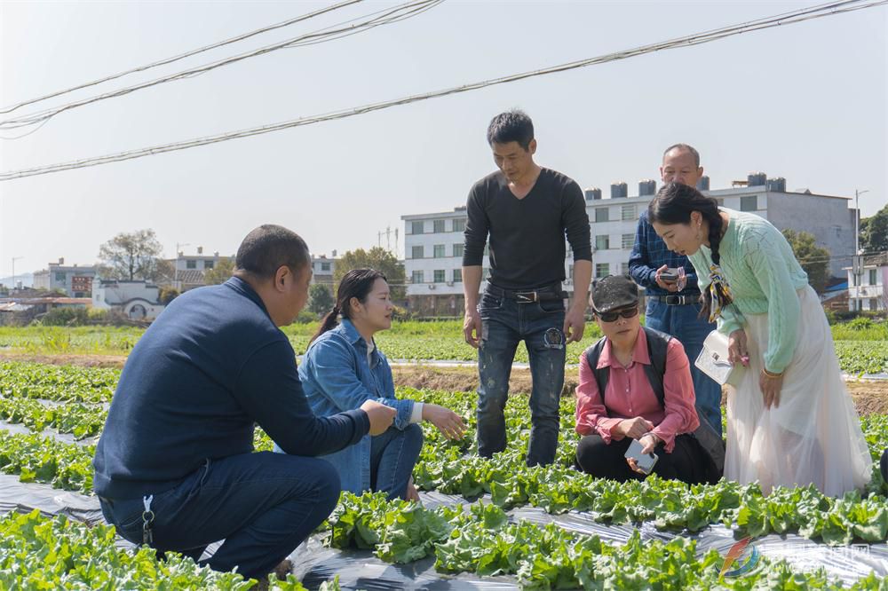 太姥山鎮(zhèn)：科技特派員進村幫扶 助力春耕春播