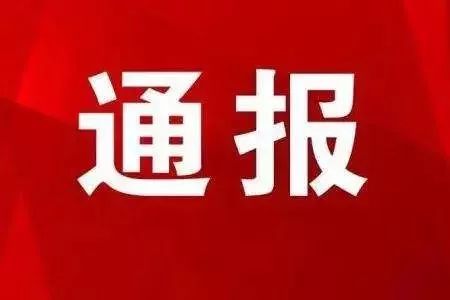 中共福鼎市委市直機關工作委員會關于巡察整改進展情況的通報