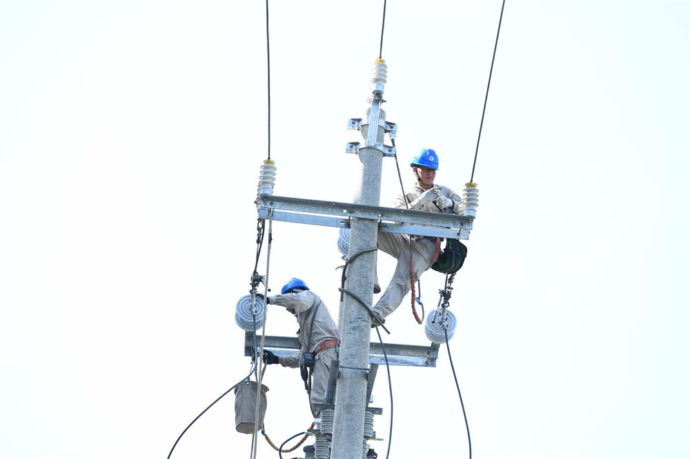 市供電公司：帶電作業(yè)戰(zhàn)高溫 迎峰度夏護清涼