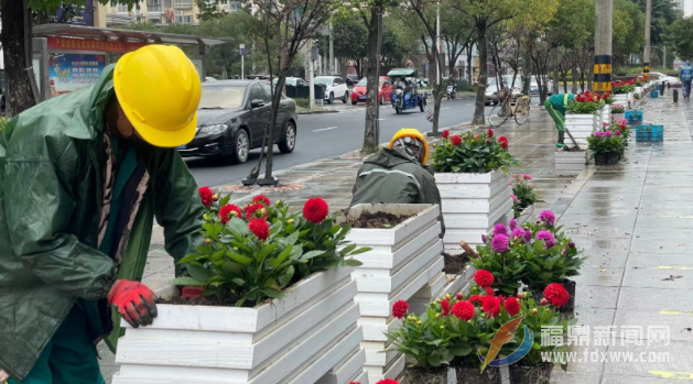 40萬株鮮花扮靚市區(qū)迎新春