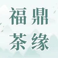 福鼎茶緣丨白露壽眉